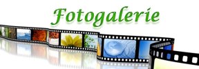 logo_fotogalerie.jpg